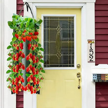Load image into Gallery viewer, Upside Down Tomato Grow Bag
