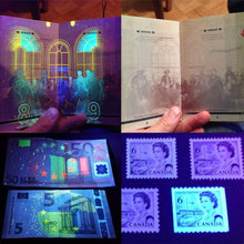 Load image into Gallery viewer, UV Flashlight Black Light
