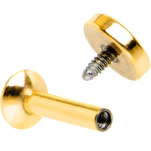 Load image into Gallery viewer, 1/4 Gold IP 4mm Circle Internal Thread Daith Cartilage Tragus
