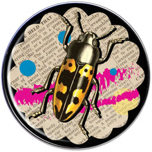 Load image into Gallery viewer, Newsprint Beetle Bug Tragus Cartilage Earring
