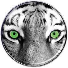 Load image into Gallery viewer, 16G 1/4 Black White Tiger Eyes Tragus Cartilage Earring
